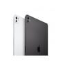 11-inch iPad Pro WiFi + Cellular 256GB (M4) con Vetro Standard - Argento