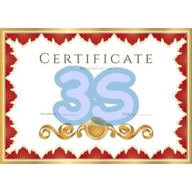 Rapporto di taratura per analizzatore di combustione con 3 celle CO+O2+NO