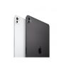 iPad Pro 13" (M5) Wi-Fi + Cellular 512GB - Vetro Standard - Nero siderale