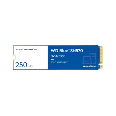 WESTERN DIGITAL SSD INTERNO BLUE SN570 250GB PCIE GEN3 NVME